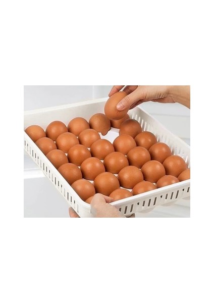 30LU Yumurta Saklama Kabı fiyatları