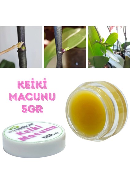 Keiki Macunu Orkide ve Bitki Çoğaltma Destekleyici 5gr