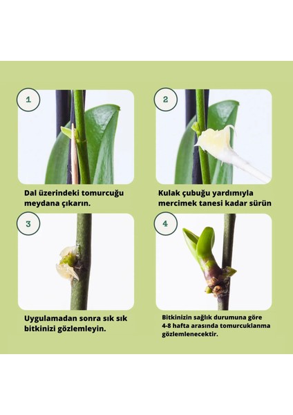 Keiki Macunu Orkide ve Bitki Çoğaltma Destekleyici 5gr modelleri