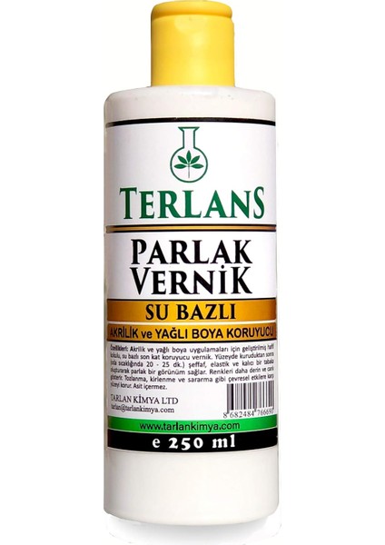 Su Bazlı Parlak Vernik 250 ml Akrilik ve Yağlı Boya Koruyucu