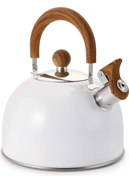 Paslanmaz Çelik Demlik Beyaz Renk modelleri