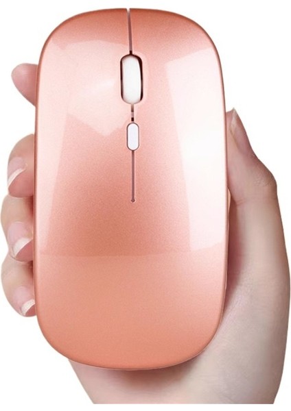 2025 Apple Çift Modlu Bluetooth Fare Sessiz Kablosuz Şarjlı Cep Telefonu Tablet 2.4g Için Geçerlidir (Yurt Dışından)