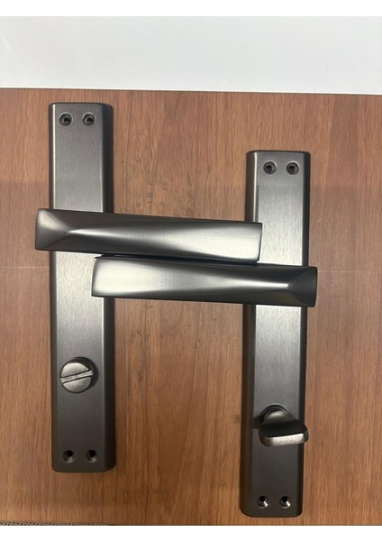 Foça Mat Füme Kapı Kolu Aynalı Wc Sağ modelleri