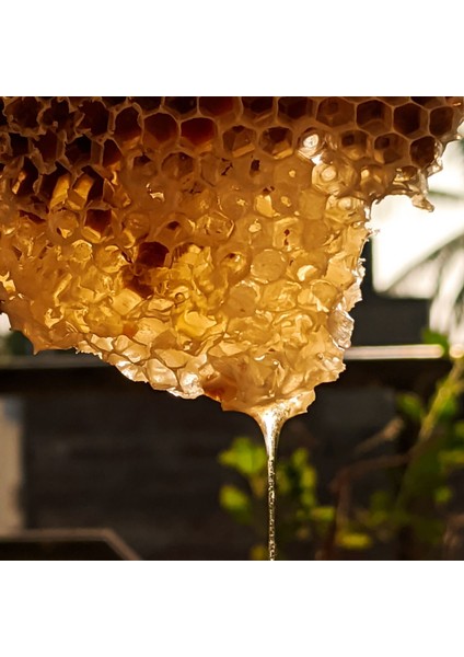 Erzurum Çita Petek Bal – Geleneksel Lezzet, Sofralarınıza Tat Katın modelleri