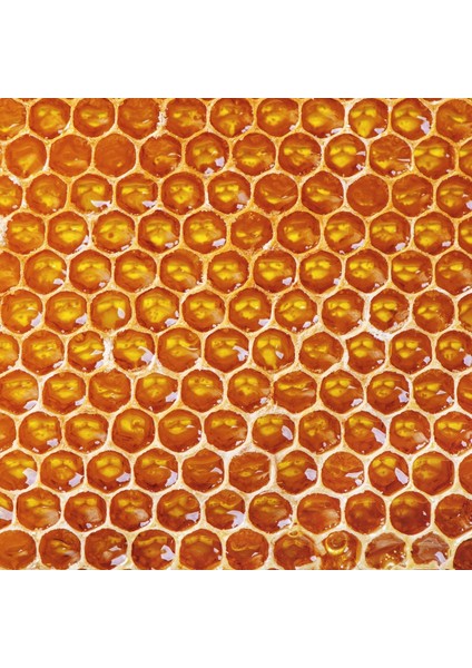 Erzurum Çita Petek Bal – Geleneksel Lezzet, Sofralarınıza Tat Katın fırsatları