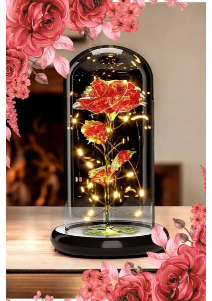 Fanus Içerisinde Dekoratif Rgb Peri LED Işıklı Solmayan Sonsuzluk Gülü Pembe Gül Galaxy Lamba