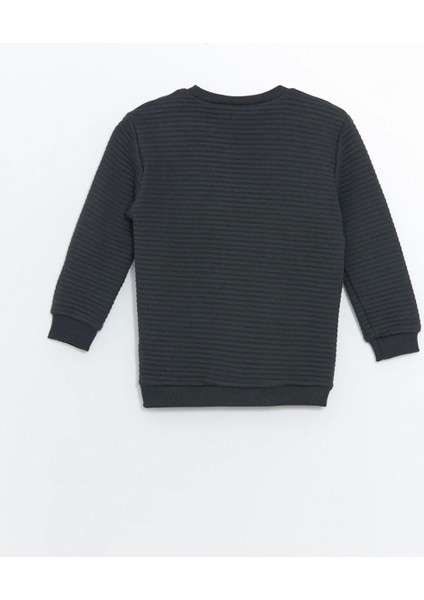 Lcw Kids Antrasit Bisiklet Yaka Baskılı Uzun Kollu Erkek Çocuk Sweatshirt indirimleri