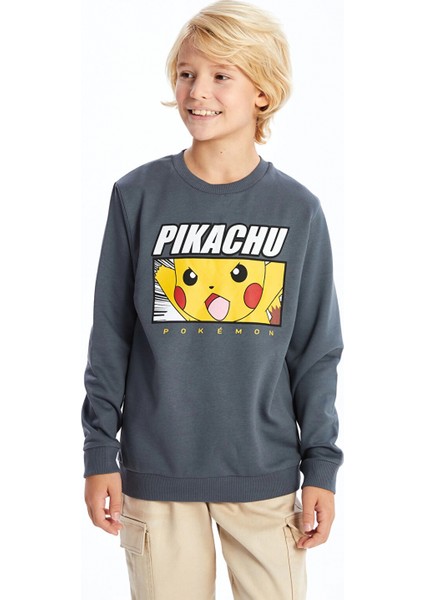 Lcw Kids Gri Bisiklet Yaka Baskılı Erkek Çocuk Sweatshirt fiyatları