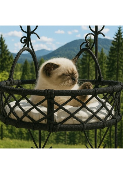 Cam Güzeli Kedi Köpek Yatağı