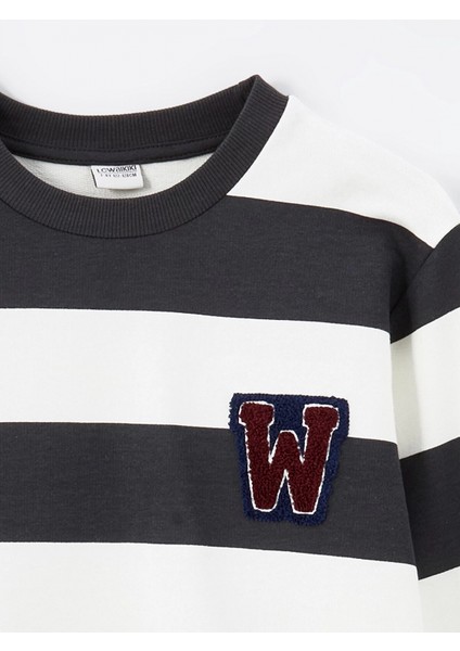 Lcw Kids Gri Bisiklet Yaka Erkek Çocuk Sweatshirt fiyatları