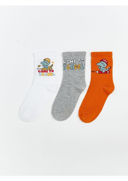 Desenli Erkek Çocuk Soket Çorap 3'lü (W5)