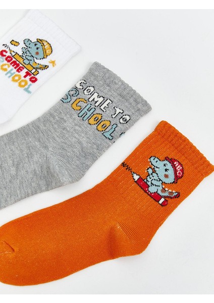 Desenli Erkek Çocuk Soket Çorap 3'lü (W5) fiyatları