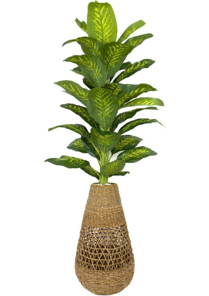 Yapay Kumaş Monstera ve Difenbahya Ağaç – Hasır Saksıda, Gerçekçi Görünümlü, 200 cm Dekoratif Bitki