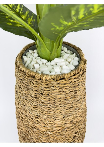 Yapay Kumaş Monstera ve Difenbahya Ağaç – Hasır Saksıda, Gerçekçi Görünümlü, 200 cm Dekoratif Bitki