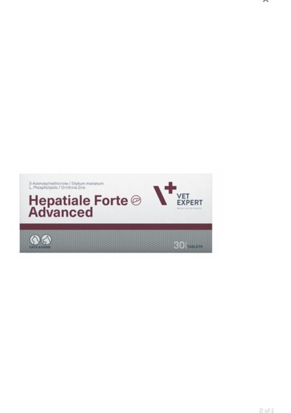 Hepatiale Forte Advanced 30 Tb