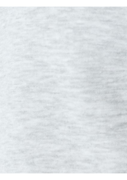 Reglan Kollu Pamuk Karışımlı Kapşonlu Şardonlu Dikiş Detaylı Basic Hoodie