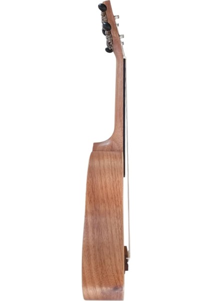 UK21B Soprano Ukulele Kelebek Kılıflı modelleri