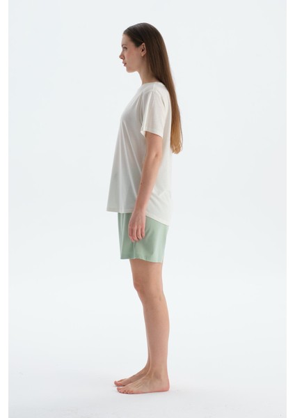 Açık Yeşil Penye Modal Ikili Şort modelleri