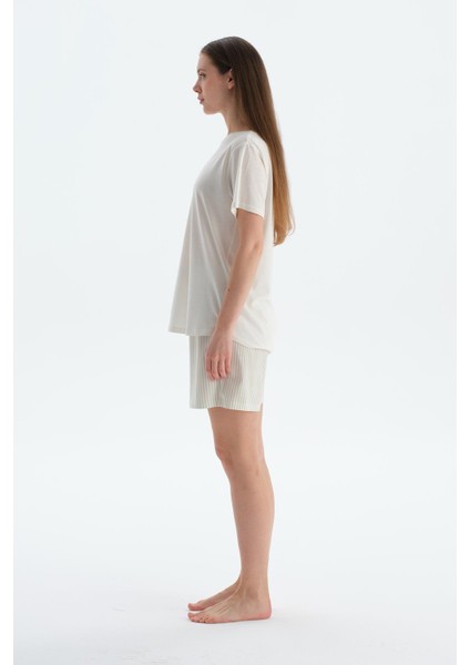 Açık Yeşil Penye Modal Ikili Şort