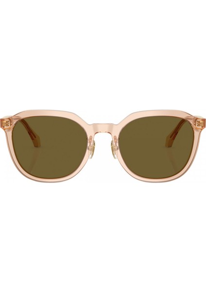 Güneş Gözlüğü VE4493D 55 551883 fiyatları