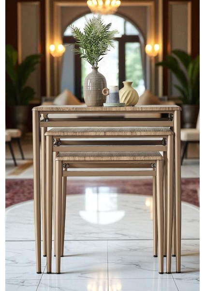 Damrin Serisi Ceviz Desen 1. Sınıf Mebran Mdf 3’lü Zigon Sehpa Takımı - Bronz Ayak fiyatları