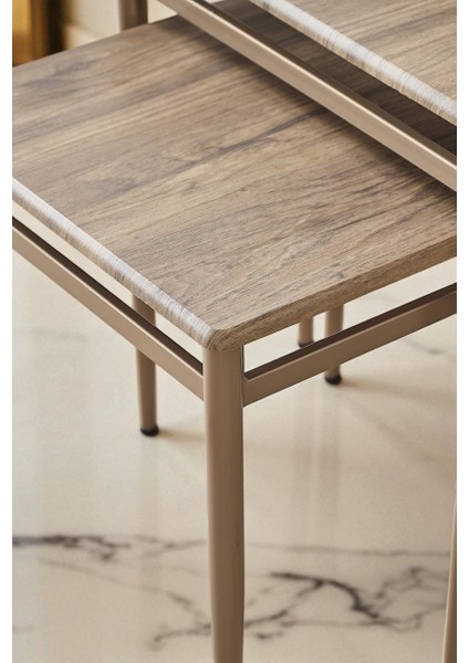 Damrin Serisi Ceviz Desen 1. Sınıf Mebran Mdf 3’lü Zigon Sehpa Takımı - Bronz Ayak modelleri