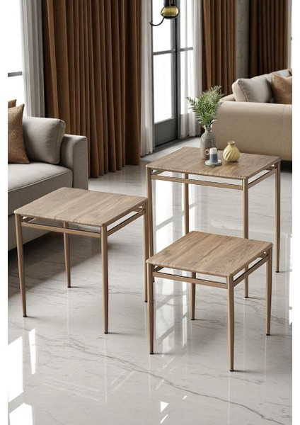 Damrin Serisi Ceviz Desen 1. Sınıf Mebran Mdf 3’lü Zigon Sehpa Takımı - Bronz Ayak indirimleri