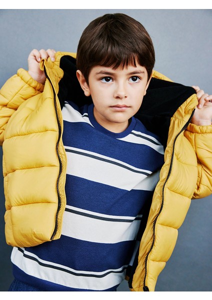 Lcw Kids Bej Bisiklet Yaka Uzun Kollu Çizgili Erkek Çocuk Sweatshirt