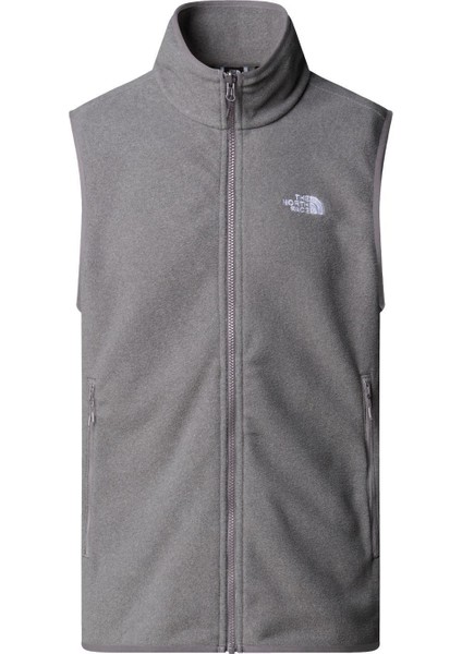 M Glacıer Fleece Vest Erkek Ceket NF0A8DQNCQI1