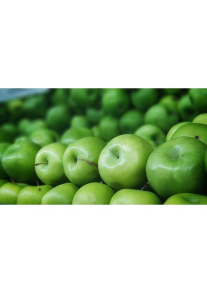 Green Apple Esansı 20 ml - Ifra Sertifikalı
