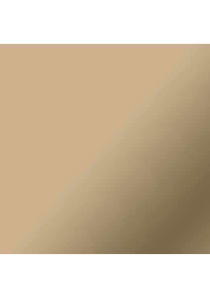 Crıcut 2011610 Smart Vinil Kalıcı 33X91CM 1 Sayfa Mat Şampanya fiyatları