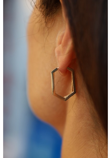 14 Ayar Altın Taş Detaylı Tasarım Altıgen Küpe fırsatları