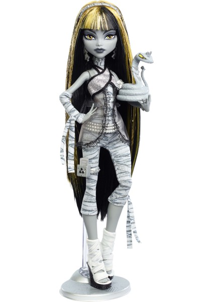 Monster Hıgh® Reel Drama Cleo De Nıle™ Bebek Siyah Beyaz Filmleri Andıran Tasarımıyla Koleksiyona Uygun Bebek ve Posterler JDR65 indirimleri