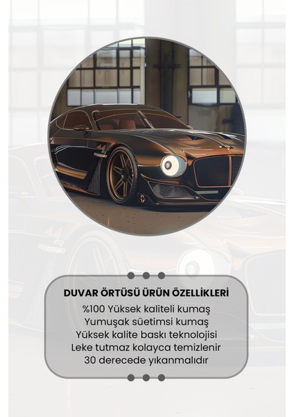 Klas Spor Araba Desenli Duvar Halısı Duvar Örtüsü Tapestry Süet Dokulu Kumaş modelleri