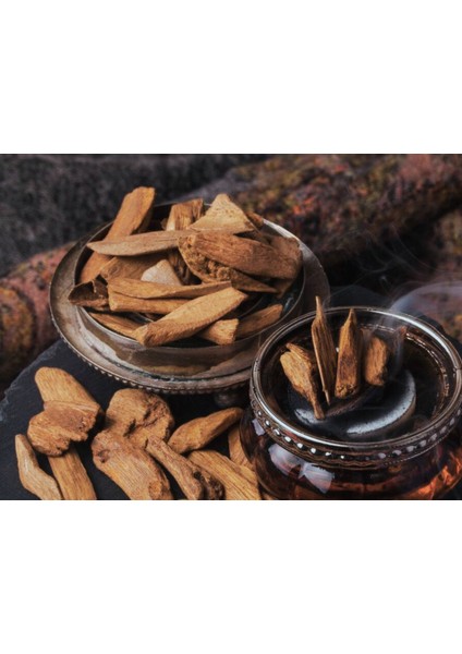 Spartacus Oud Esansı 20 ml - Ifra Sertifikalı