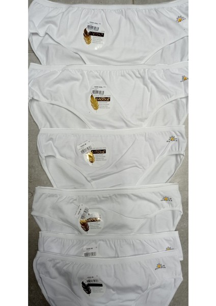 1851 Modal 6'lı Yüksek Bel Külot