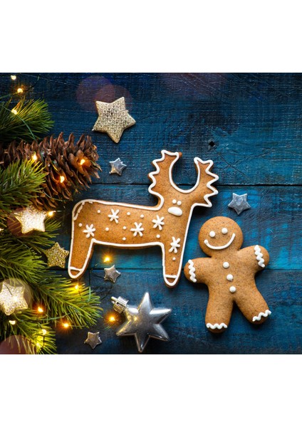 Gingerbread Esansı 20 ml - Premium Collection - Ifra Sertifikalı