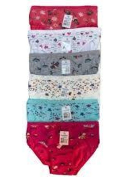 Desenli Kız Külot 6 Lı Paket fiyatları