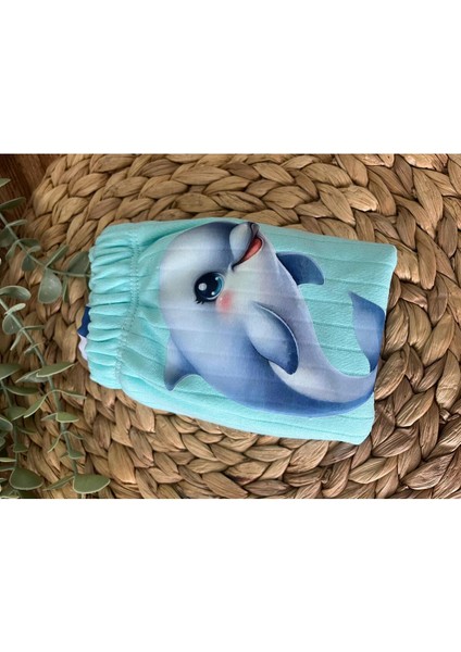 Desenli Erkek Bebek Alıştırma Külot