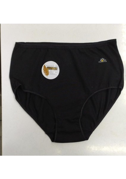 1851 Yüksek Bel Modal Harika Külot 3lü Paket