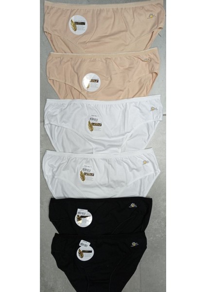 Kadın Bikini Bel Külot 1850 Modal 6'lı