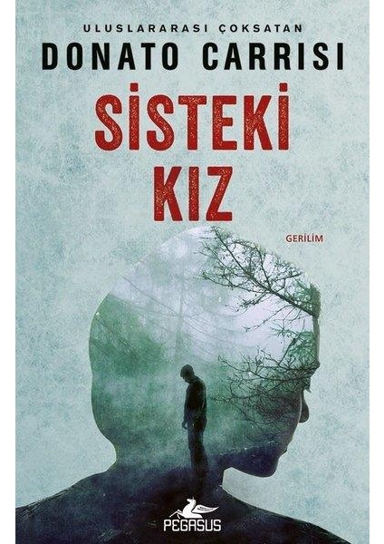 Sisteki Kız