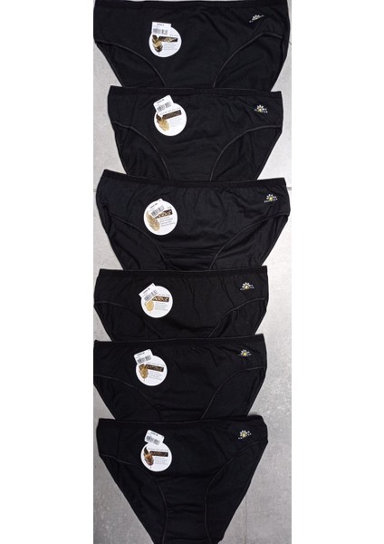 Kadın Bikini Bel Külot 1850 Modal 3'lü Siyah