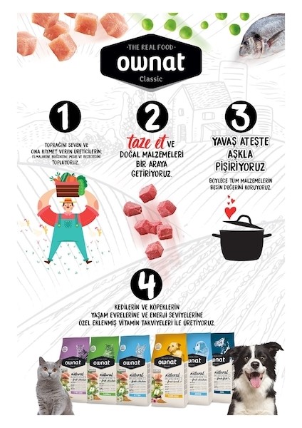 4 kg Sterilised Tavuklu Kedi Maması modelleri