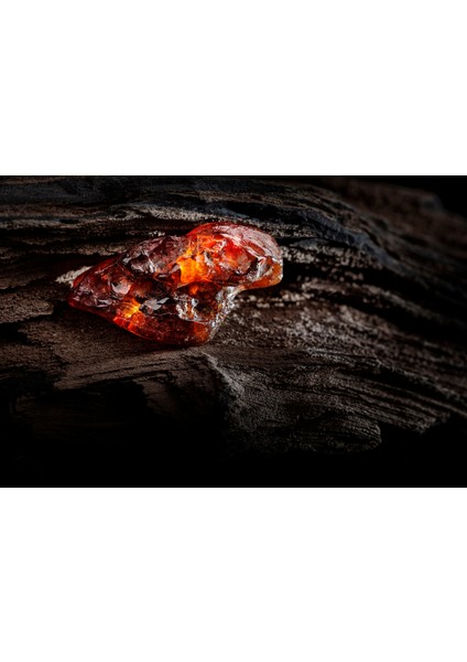 Amber Noir Esansı 20 ml - Ifra Sertifikalı