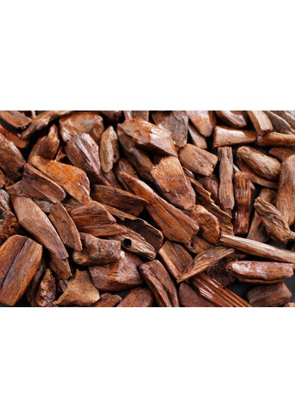 Sandalwood Patchouli Esansı 20 ml - Premium Collection - Ifra Sertifikalı