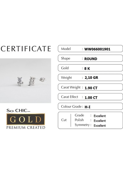 Beyaz Altın Sertifikalı Premium Created Taşlı Su Yolu Küpe indirimleri