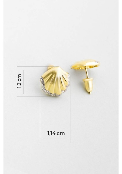 Deniz Kabuğu 18 Ayar Sarı Altın Kaplama Gümüş Miinimal Küpe modelleri