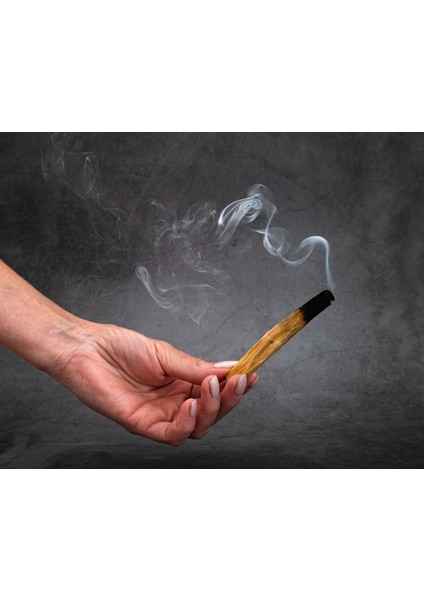 Palo Santo Esansı 20 ml - Premium Collection - Ifra Sertifikalı