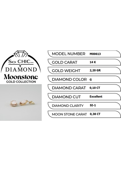 Ay Taşlı 14 Ayar Sarı Altın Pırlanta Küpe indirimleri